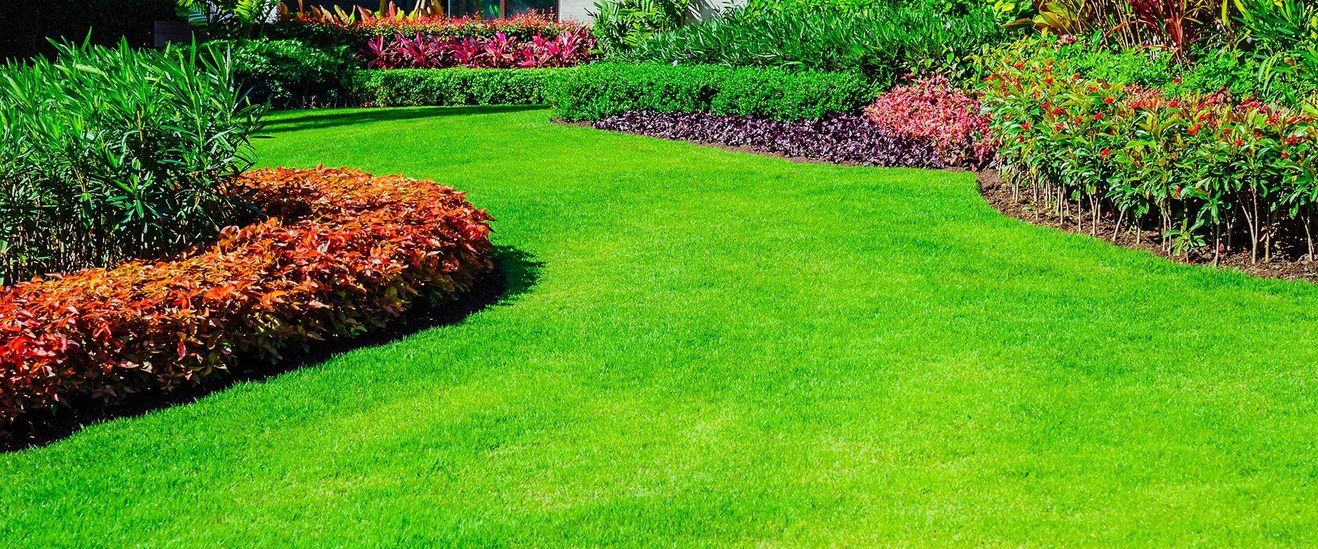 Luxury residential lawn and landscape overview